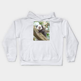 White Faced Marmoset Kids Hoodie